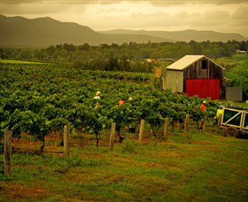 Around Hermitage Wine And Food Trail Hunter Valley - Hervey Bay Accommodation 0