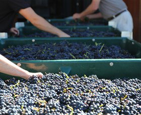 Around Hermitage Wine And Food Trail Hunter Valley - Hervey Bay Accommodation 6