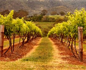 Hunter Valley Wine School - Hervey Bay Accommodation 1