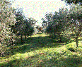 Langdale Farm - Hervey Bay Accommodation