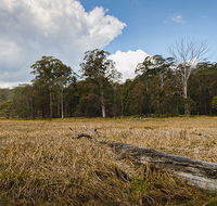 Mummel Gulf National Park - Tourism Hervey Bay