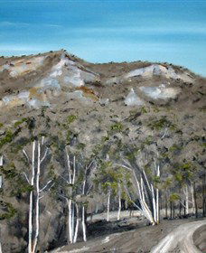 Greg Wilson Gallery - Hervey Bay Accommodation 2