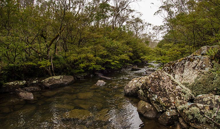 Gloucester Tops NSW Hervey Bay Accommodation