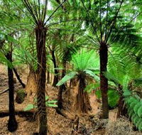 Pegarah Private Nature Reserve  Parenna Place - Hervey Bay Accommodation