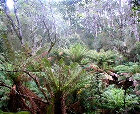 Pegarah Private Nature Reserve & Parenna Place - Hervey Bay Accommodation 1