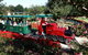 Hunter Valley Gardens - thumb 2