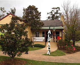 Australian Alpaca Barn - Hunter Valley Gardens - Hervey Bay Accommodation 0