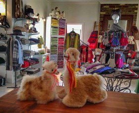Australian Alpaca Barn - Hunter Valley Gardens - Hervey Bay Accommodation 2