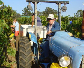 Pokolbin Brothers Wines Hunter Valley - Hervey Bay Accommodation 1