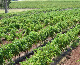 Pokolbin Brothers Wines Hunter Valley - Hervey Bay Accommodation 0