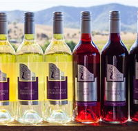 Robyn Drayton Wines
