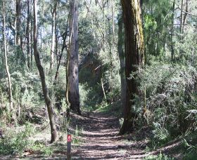 Box Vale Mine Walking Track And Lookout - Tourism Hervey Bay 0