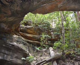 Cave Creek Walking Track - Hervey Bay Accommodation 0