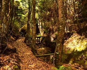 Cave Creek Walking Track - Hervey Bay Accommodation 2