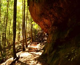 Cave Creek Walking Track - Hervey Bay Accommodation 1