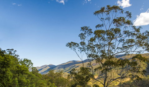 Woko National Park - Hervey Bay Accommodation 0