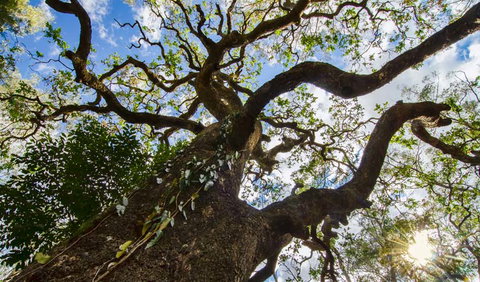 Woko National Park - Hervey Bay Accommodation 1