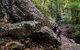 Woko National Park - thumb 2
