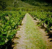 Gartelmann Wines - Hervey Bay Accommodation