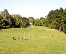 Moss Vale Golf Club - Hervey Bay Accommodation 2