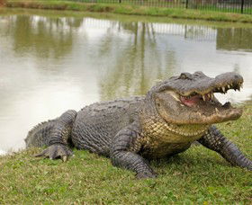 Hunter Valley Zoo - Hervey Bay Accommodation 1