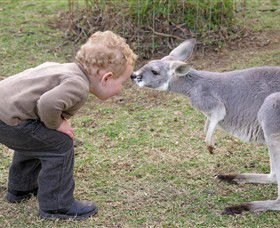 Hunter Valley Zoo - Hervey Bay Accommodation 3