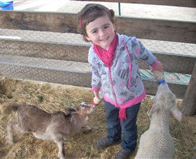 Hunter Valley Zoo - Hervey Bay Accommodation 4