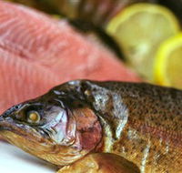 Lovedale Smokehouse Gourmet Pantry Cafe and Masterclasses - Hervey Bay Accommodation