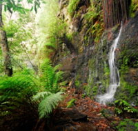 Fairy Bower Falls - Hervey Bay Accommodation