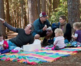 State Forests Of The Watagan Mountains - Hervey Bay Accommodation 0