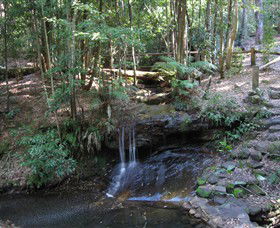 State Forests Of The Watagan Mountains - Hervey Bay Accommodation 3