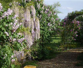 Back O The Moon - Hervey Bay Accommodation 3