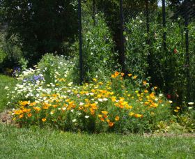 Back O The Moon - Hervey Bay Accommodation 2
