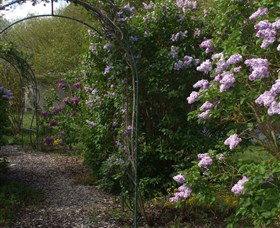 Back O The Moon - Hervey Bay Accommodation 4