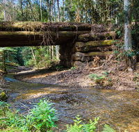 Myrtle Scrub scenic drive - Tourism Hervey Bay