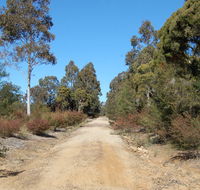 Werakata National Park - Hervey Bay Accommodation