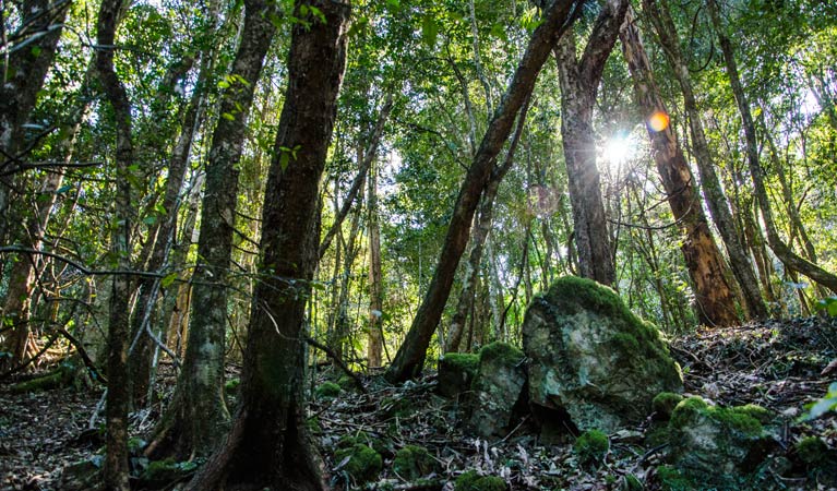 Copeland NSW Hervey Bay Accommodation