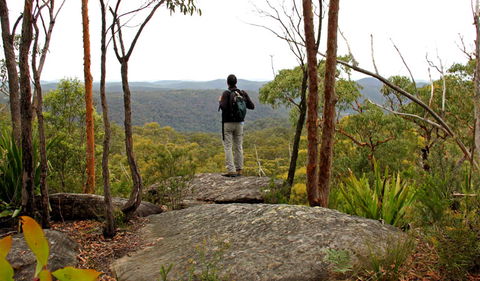 Mount Olive Lookout - Hervey Bay Accommodation 1