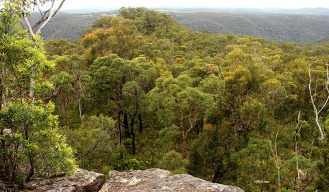 Mount Olive Lookout - Hervey Bay Accommodation 0