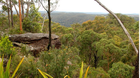 Mount Olive Lookout - Hervey Bay Accommodation 2