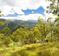 Toonumbar National Park - Hervey Bay Accommodation