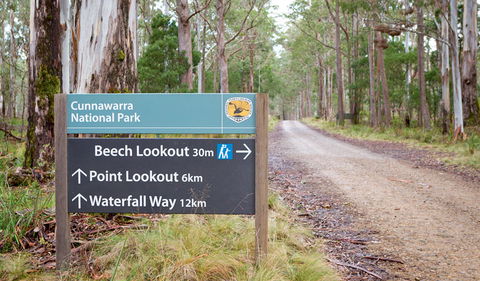 Beech Lookout - Tourism Hervey Bay 0