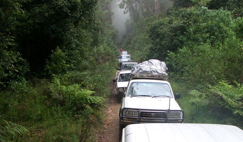 Carrai National Park - Tourism Hervey Bay 3