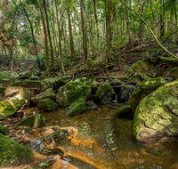Palm Grove Nature Reserve - Hervey Bay Accommodation