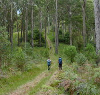 The Green Gully track - Tourism Hervey Bay