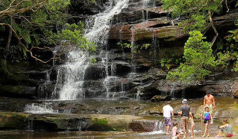 Somersby Falls Picnic Area - Hervey Bay Accommodation 2