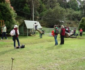 Forest Of Tranquillity - Australian Rainforest Sanctuary - Hervey Bay Accommodation 0