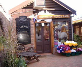 Australian Alpaca Barn - Morpeth - Hervey Bay Accommodation 0
