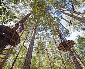 TreeTop Adventure Park Central Coast - Hervey Bay Accommodation 0