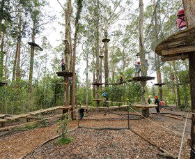 TreeTop Adventure Park Central Coast - Hervey Bay Accommodation 5